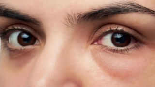 Snake-Repellent Plants: ఇంట్లోకి పాములు వస్తాయని భయపడుతున్నారా? అయితే మీ ఇంటి చుట్టూ ఈ మొక్కలు నాటండి..