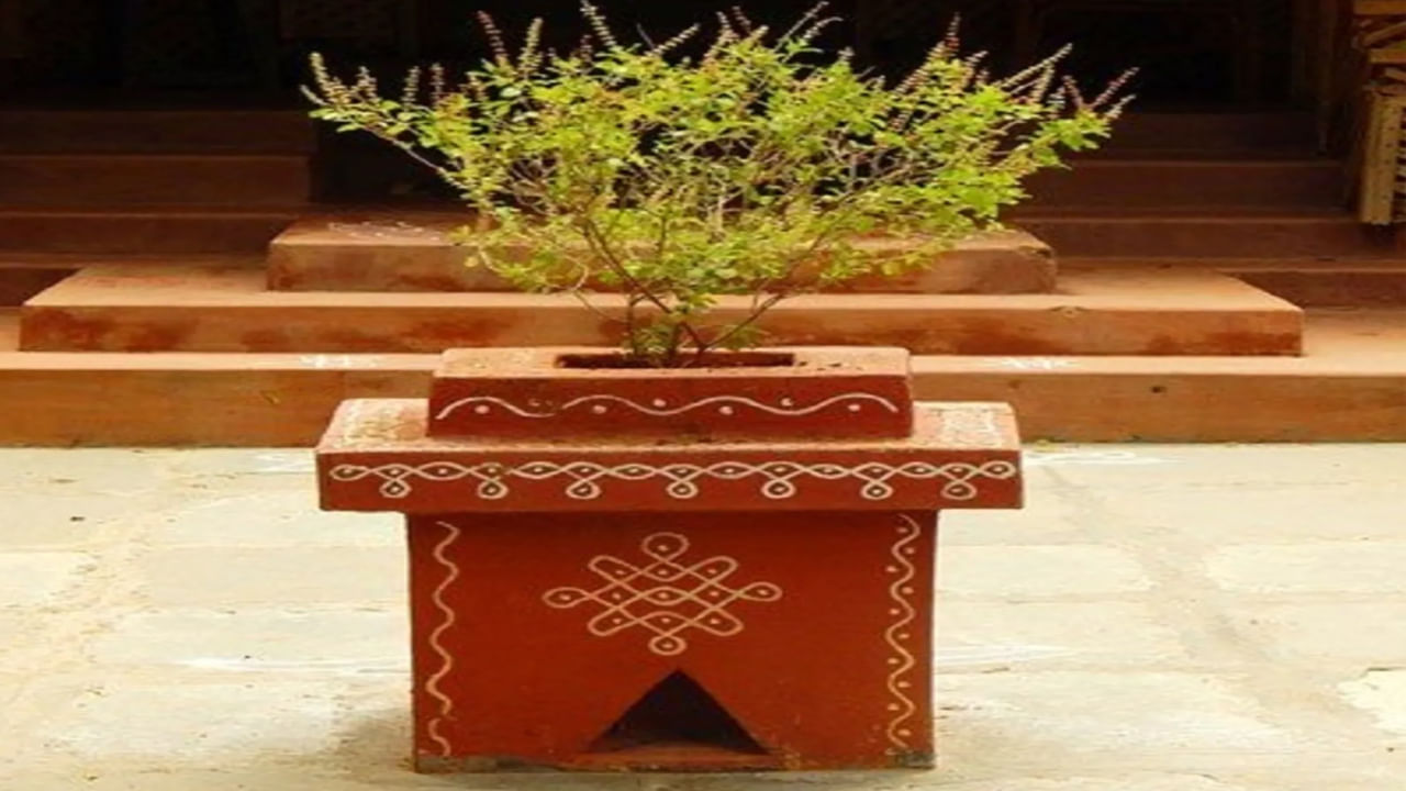 తులసిని లక్ష్మీదేవి రూపంగా భావిస్తారు. లక్ష్మీదేవి సంపదకు దేవత. అందువల్ల, ఆర్థిక శ్రేయస్సు తీసుకురావడానికి తులసి మొక్కను ఇంట్లో నాటుతారు. అంతే కాదు, దీనిని క్రమం తప్పకుండా పూజిస్తారు. ఎందుకంటే లక్ష్మీదేవి అందులో నివసిస్తుంది. ఇది ఇంటికి ఆనందం శ్రేయస్సును తెస్తుంది.