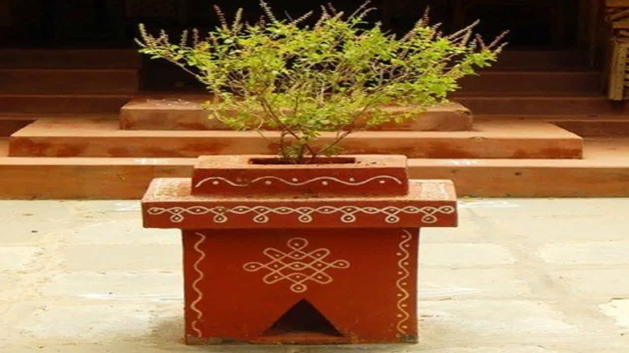 తులసిని లక్ష్మీదేవి రూపంగా భావిస్తారు. లక్ష్మీదేవి సంపదకు దేవత. అందువల్ల, ఆర్థిక శ్రేయస్సు తీసుకురావడానికి తులసి మొక్కను ఇంట్లో నాటుతారు. అంతే కాదు, దీనిని క్రమం తప్పకుండా పూజిస్తారు. ఎందుకంటే లక్ష్మీదేవి అందులో నివసిస్తుంది. ఇది ఇంటికి ఆనందం శ్రేయస్సును తెస్తుంది.
