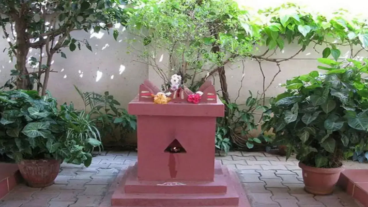 తులసి విష్ణువుకు చాలా ప్రియమైనది. అందుకే దీనిని హరిప్రియ అని కూడా పిలుస్తారు. తులసి ఆకులు లేకుండా ఏ నైవేద్యమూ విష్ణువును చేరదు. తులసి ఉన్న ఇంట్లో విష్ణువు నివసిస్తాడు.