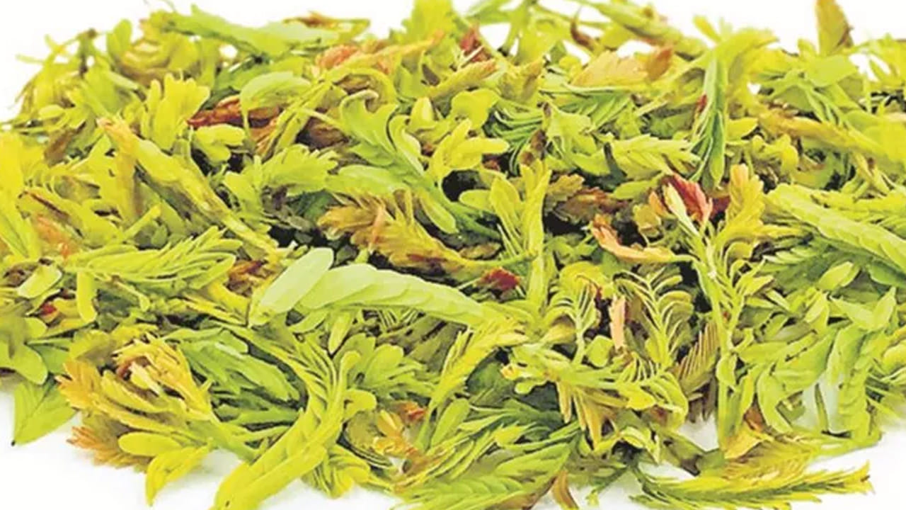 ప్లాస్మోడియం ఫాల్సిపరం అనే సూక్ష్మజీవుల పెరుగుదలను నిరోధించే శక్తి చింతపండు ఆకుల రసంలో ఉంది. ఈ సూక్ష్మజీవి మలేరియాకు కారణమవుతుంది. చింతపండు ఆకుల రసం తీసుకోవడం వల్ల రక్తహీనత నయమవుతుంది. దీంతో ఫ్రీ రాడికల్స్ సమస్య కూడా దూరమవుతుంది. 