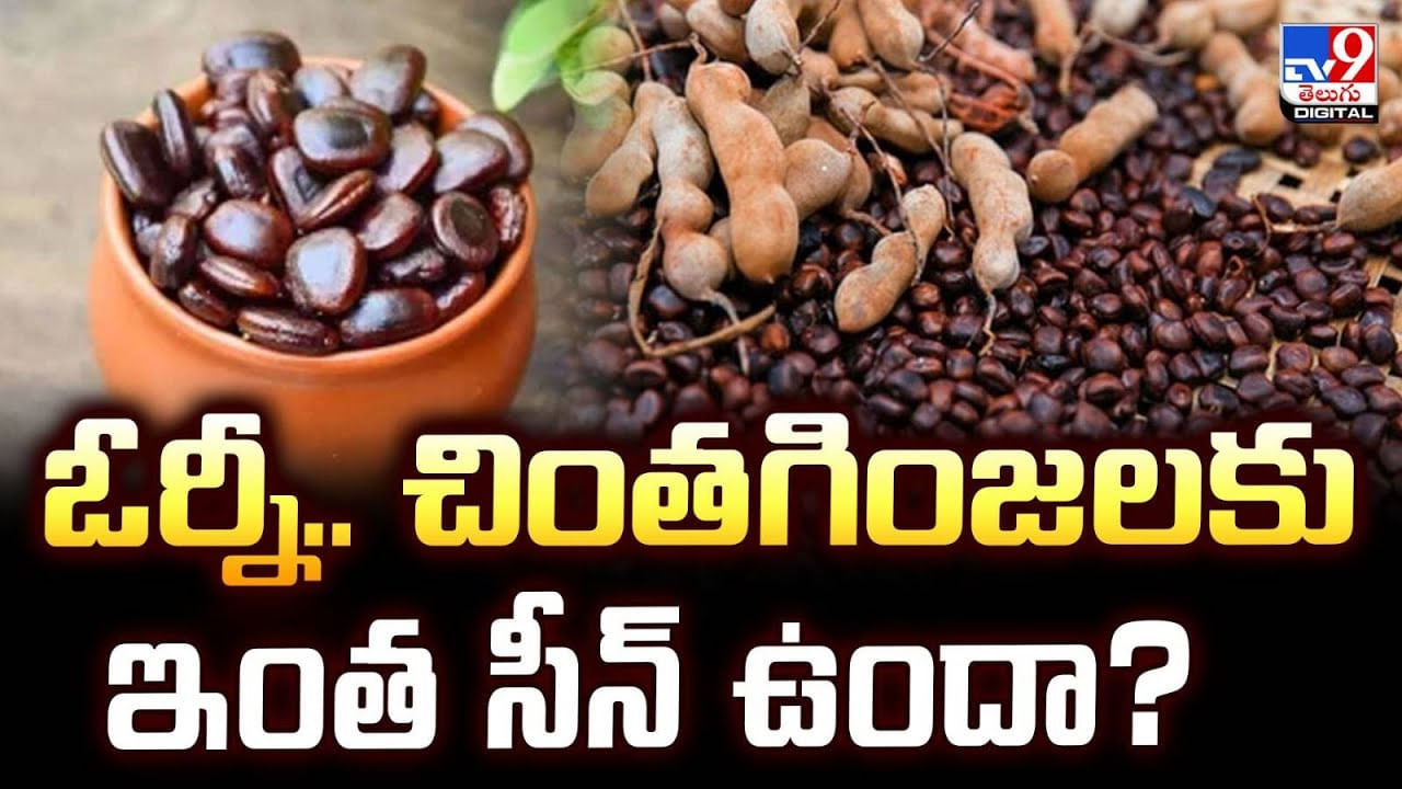 ఓర్నీ.. చింత గింజలకు ఇంత సీన్‌ ఉందా