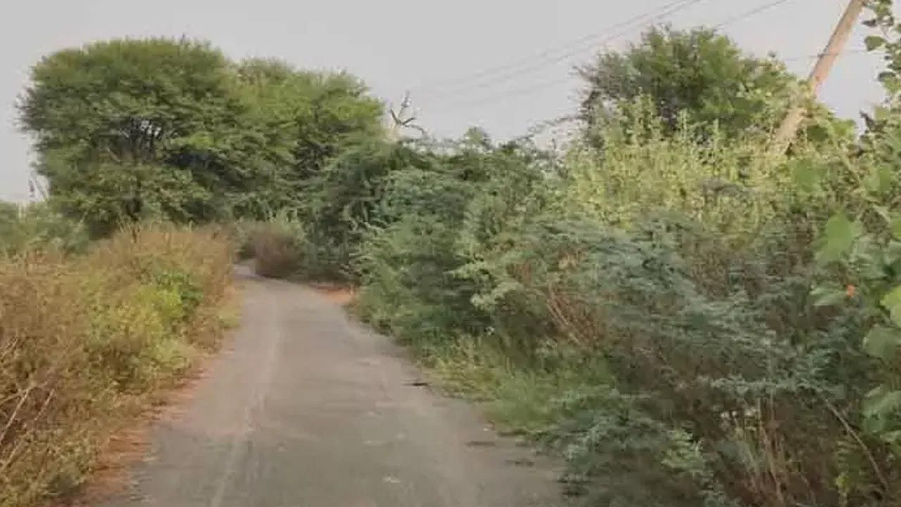 సుస్సు పోస్కుందామని అలా పక్కకెళ్లాడు.. పొదల్లో అలజడి! ఏంటా అని చూస్తే.. సుస్సు పోస్కుందామని అలా పక్కకెళ్లాడు.. పొదల్లో అలజడి! ఏంటా అని చూస్తే..