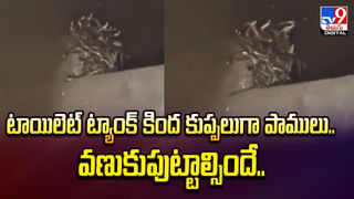 బంగారంతో నేసిన చీరలో నీతా అంబానీ.. ధర తెలిస్తే షాక్ అవ్వాల్సిందే