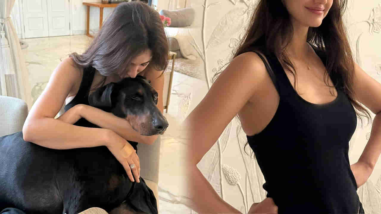 బీటెక్ తర్వాత హీరోయిన్‌‌‌గా ఎంట్రీ.. కట్ చేస్తే సినిమాకు రూ. 3కోట్లు తీసుకుంటున్న హాట్ బ్యూటీ..