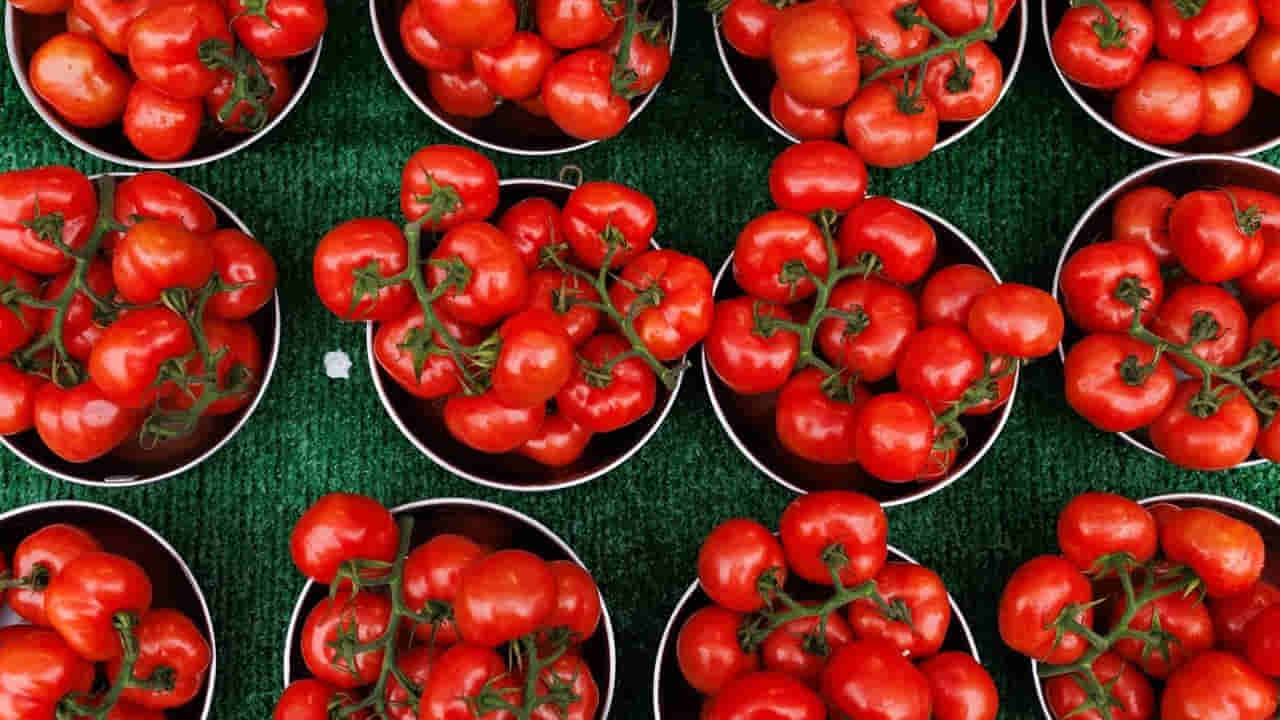 టమాటోలో ప్రాణాంతక బ్యాక్టీరియా.. రీకాల్ చేస్తున్న ప్రభుత్వం.. 6150కోట్ల పంట నష్టం..