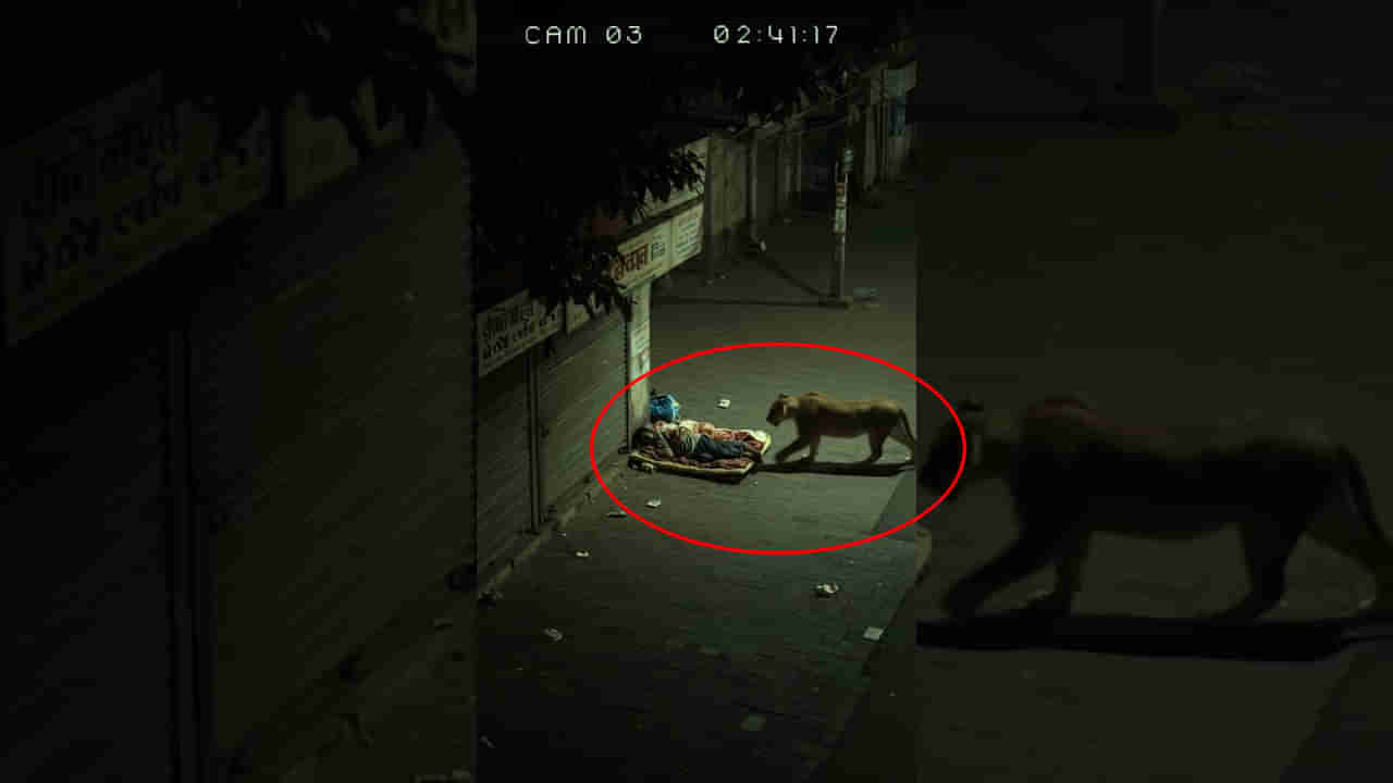 Viral: ఆరుబయట హాయిగా నిద్రపోతున్న వ్యక్తి.. దూసుకొచ్చిన అనుకోని అతిధి.. అసలు మ్యాటర్ ఇదే