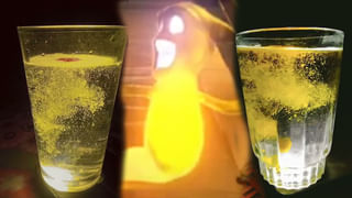 Personality Test: ఈ చిత్రంలో మొదట చూసేదే మీ వ్యక్తిత్వం.. మీరు సృజనాత్మక వ్యక్తా లేదా తార్కిక ఆలోచనాపరుడా తెలుసుకోండి..