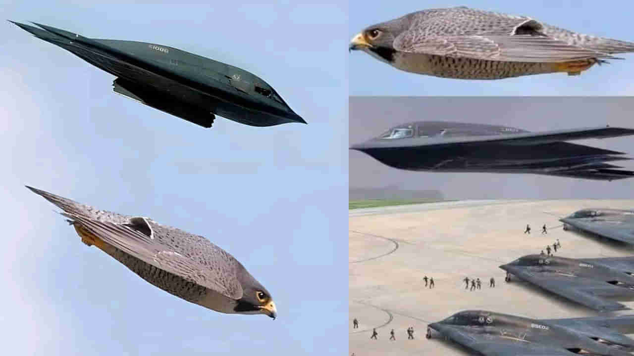 US Attacks Iran: ఇరాన్‌పై విరుచుకుపడ్డ B2 స్పిరిట్ బాంబర్లు! పక్షిలా కనిపిస్తాయి కానీ.. బాంబుల వర్షం కురిపిస్తాయి! వీటి ప్రత్యేకతలు ఇవే..