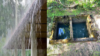 Yoga’s Healing Power: వెన్నె నొప్పికి వైద్యం లేదన్న డాక్టర్స్.. యోగాతో జీవితాన్ని మార్చుకున్న మహిళ..