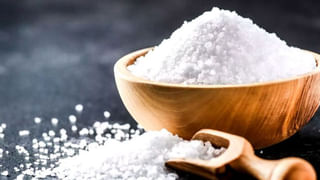 Vastu Tips: ఇంట్లో మందారం మొక్క పెంచుతున్నారా.. వాస్తు శాస్త్రం చెప్తున్న రహస్యాలివే..