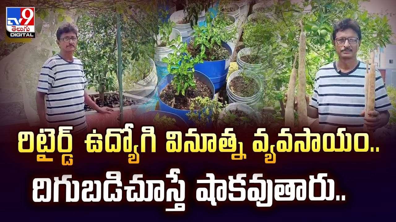 రిటైర్డ్‌ ఉద్యోగి వినూత్న వ్యవసాయం.. దిగుబడిచూస్తే షాకవుతారు