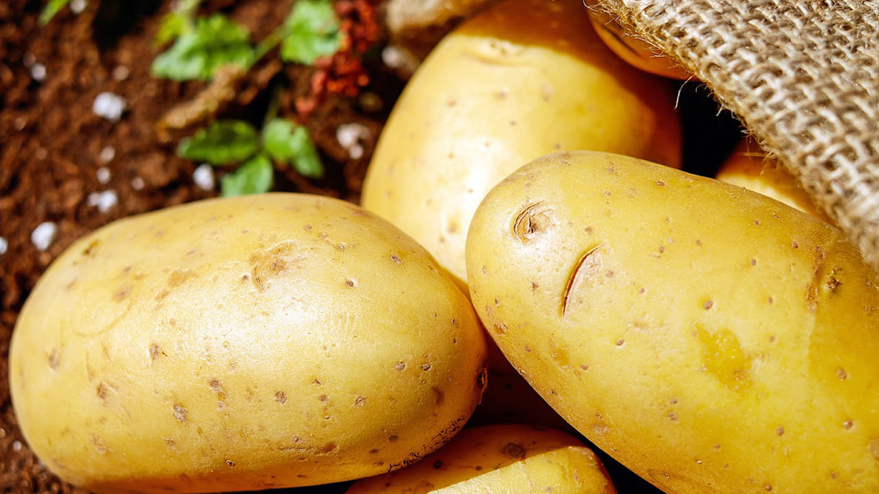 Vegetarian Foods