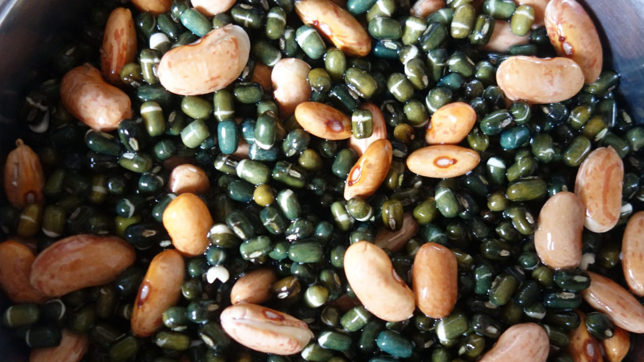 Vegetarian Foods