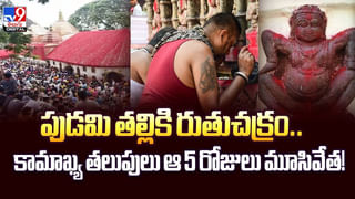 పురావస్తు తవ్వకాల్లో బయటపడిన అద్భుతం వీడియో