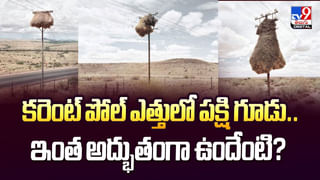 పుడమి తల్లికి రుతుచక్రం..కామాఖ్య తలుపులు ఆ 5 రోజులు మూసివేత వీడియో