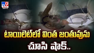 వావ్‌.. అట్లుంటది ఏఐ రోబోతోని.. వీడియో