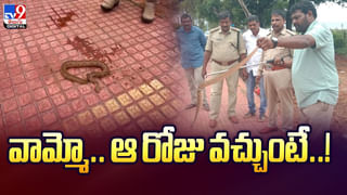 బ్యాచ్ లర్స్‌.. ఇది మీ కోసమే వీడియో