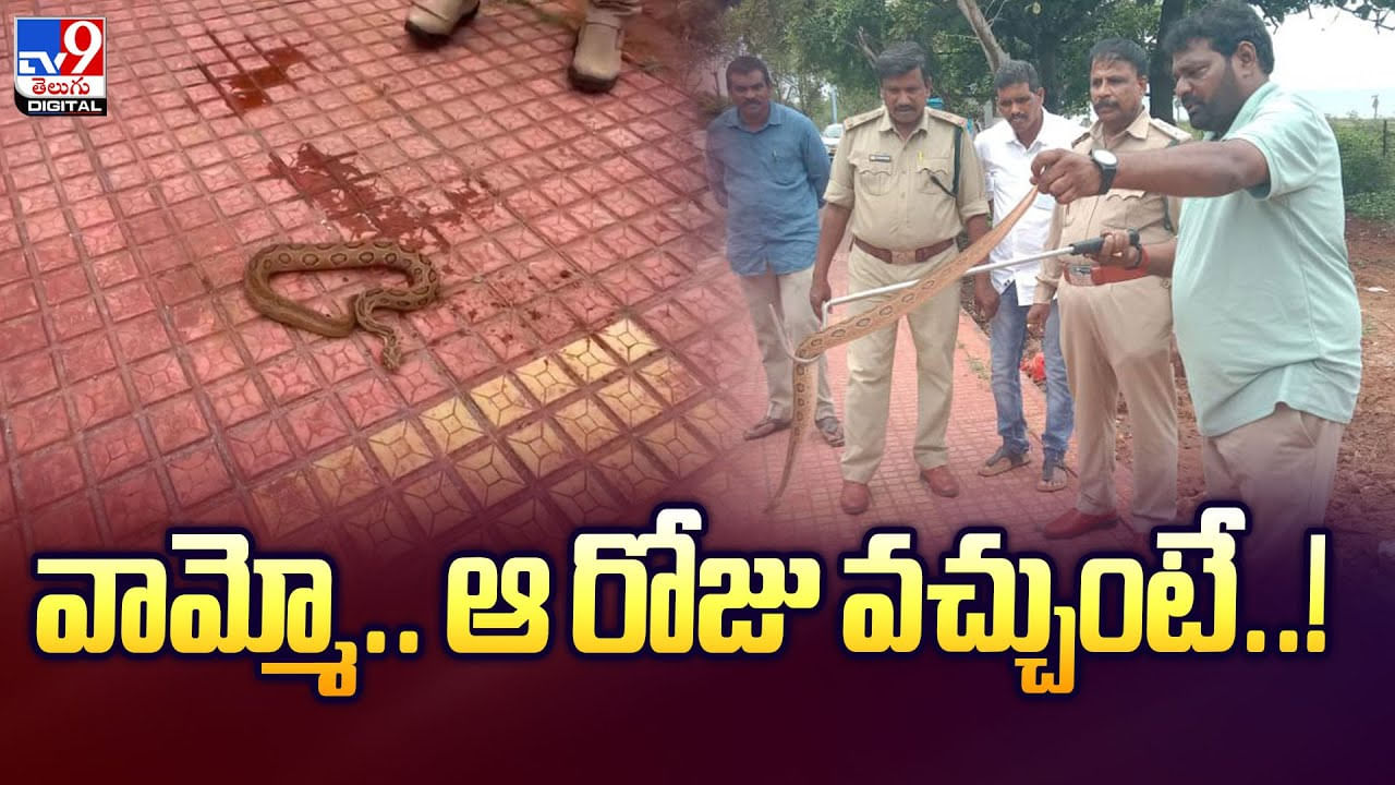 వామ్మో.. ఆ రోజు వచ్చుంటే వీడియో