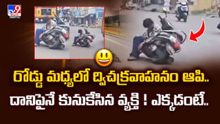 రోడ్డుపక్కన ఫుడ్‌ స్టాల్‌లో సర్వర్‌గా పని చేస్తున్న కోతి.. సెల్ఫీలు తీసుకుంటున్న కస్టమర్స్‌