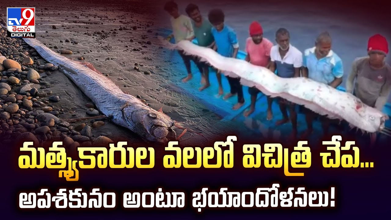మత్స్యకారుల వలలో విచిత్ర చేప... అపశకునం అంటూ భయాందోళనలు వీడియో