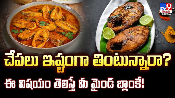 చేపలు ఇష్టంగా తింటున్నారా? ఈ విషయం తెలిస్తే మీ మైండ్ బ్లాంకే వీడియో చేపలు ఇష్టంగా తింటున్నారా? ఈ విషయం తెలిస్తే మీ మైండ్ బ్లాంకే వీడియో