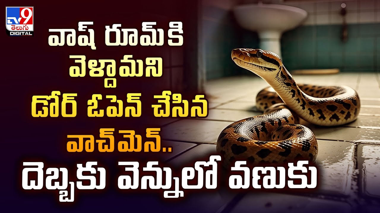 వాష్ రూమ్‌కి వెళ్దామని డోర్ ఓపెన్ చేసిన వాచ్‌మెన్..దెబ్బకు వెన్నులో వణుకు వీడియో