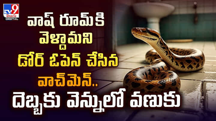 వాష్ రూమ్కి వెళ్దామని డోర్ ఓపెన్ చేసిన వాచ్మెన్..దెబ్బకు వెన్నులో వణుకు వీడియో వాష్ రూమ్కి వెళ్దామని డోర్ ఓపెన్ చేసిన వాచ్మెన్..దెబ్బకు వెన్నులో వణుకు వీడియో