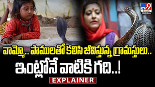 ప్రశాంతంగా టాయిలెట్ సీట్ మీద కూర్చున్నాడు.. ఈ లోపే బస్సుమంటూ పైకిలేచింది