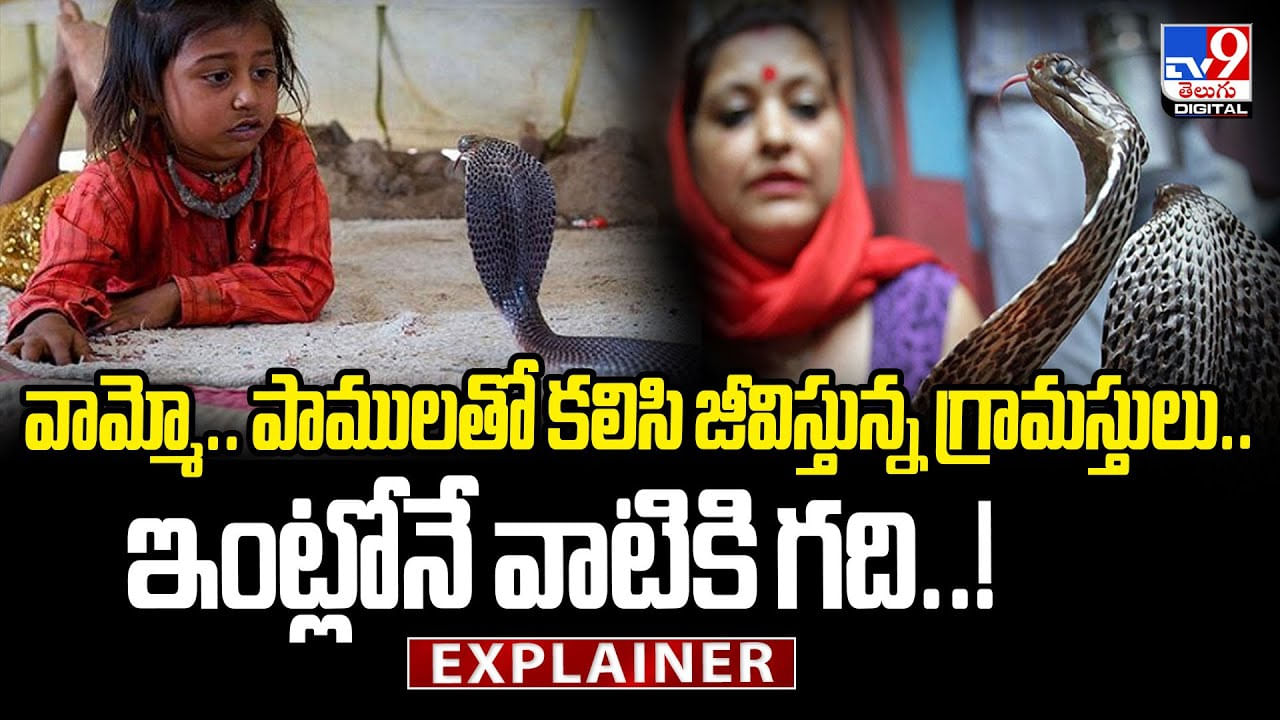 వామ్మో.. పాములతో కలిసి జీవిస్తున్న గ్రామస్తులు వీడియో
