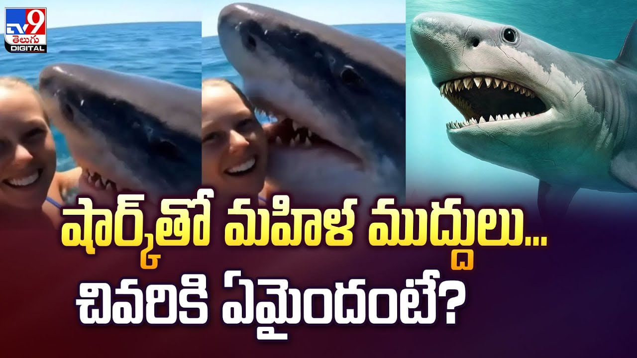 సొర చేపకు మహిళ ముద్దులు.. తర్వాత అంతా షాక్ వీడియో