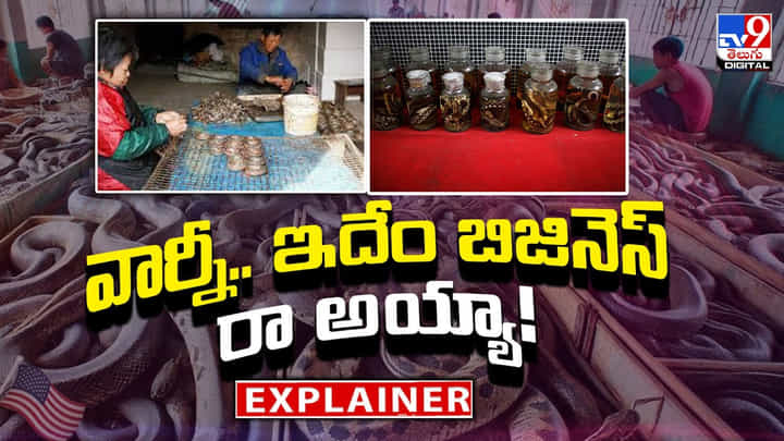వార్నీ.. ఇదేం బిజినెస్ రా అయ్యా వీడియో వార్నీ.. ఇదేం బిజినెస్ రా అయ్యా వీడియో