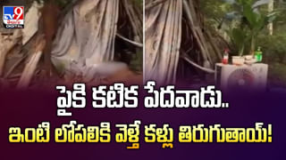 ఫ్యాన్స్‌కు రష్మిక అదిరిపోయే ఆఫర్‌..ఆ ఒక్కపని చేస్తే లుస్తానంటూ పోస్ట్‌
