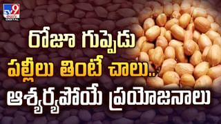 కారు డ్రైవర్ ఖతర్నాక్ మోసం..ఏకంగా కలెక్టర్‌కే షాకిచ్చాడుగా వీడియో