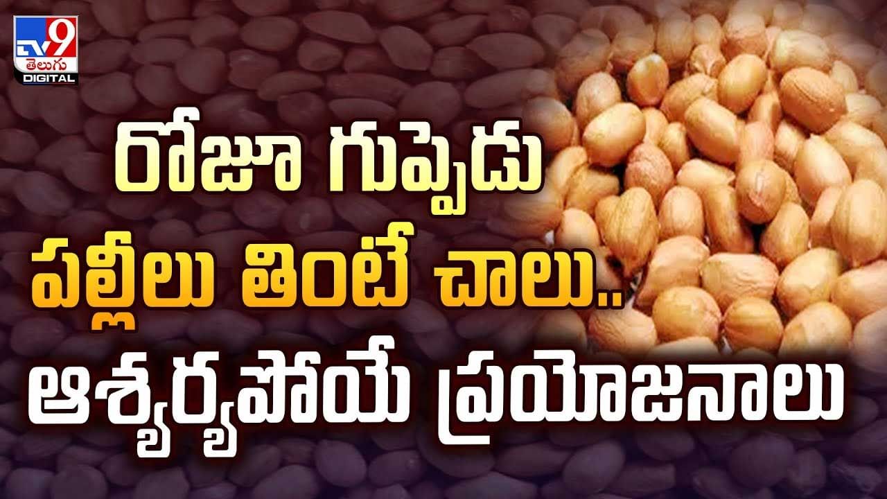 రోజూ గుప్పెడు పల్లీలు తింటే చాలు..ఆశ్యర్యపోయే ప్రయోజనాలు వీడియో
