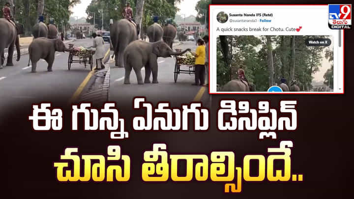 ఈ గున్న ఏనుగు డిసిప్లిన్ చూసి తీరాల్సిందే..వీడియో ఈ గున్న ఏనుగు డిసిప్లిన్ చూసి తీరాల్సిందే..వీడియో