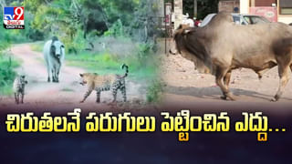 సబ్బుల కోసం ఆగమాగం.. చివరికి మనిషి చనిపోయినా.. వీడియో