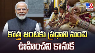 ఒకే గుంతలో పులి, కుక్క.. తర్వాత ఏం జరిగిందంటే..