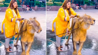 టమాటోలో ప్రాణాంతక బ్యాక్టీరియా.. రీకాల్ చేస్తున్న ప్రభుత్వం.. 6150కోట్ల పంట నష్టం..