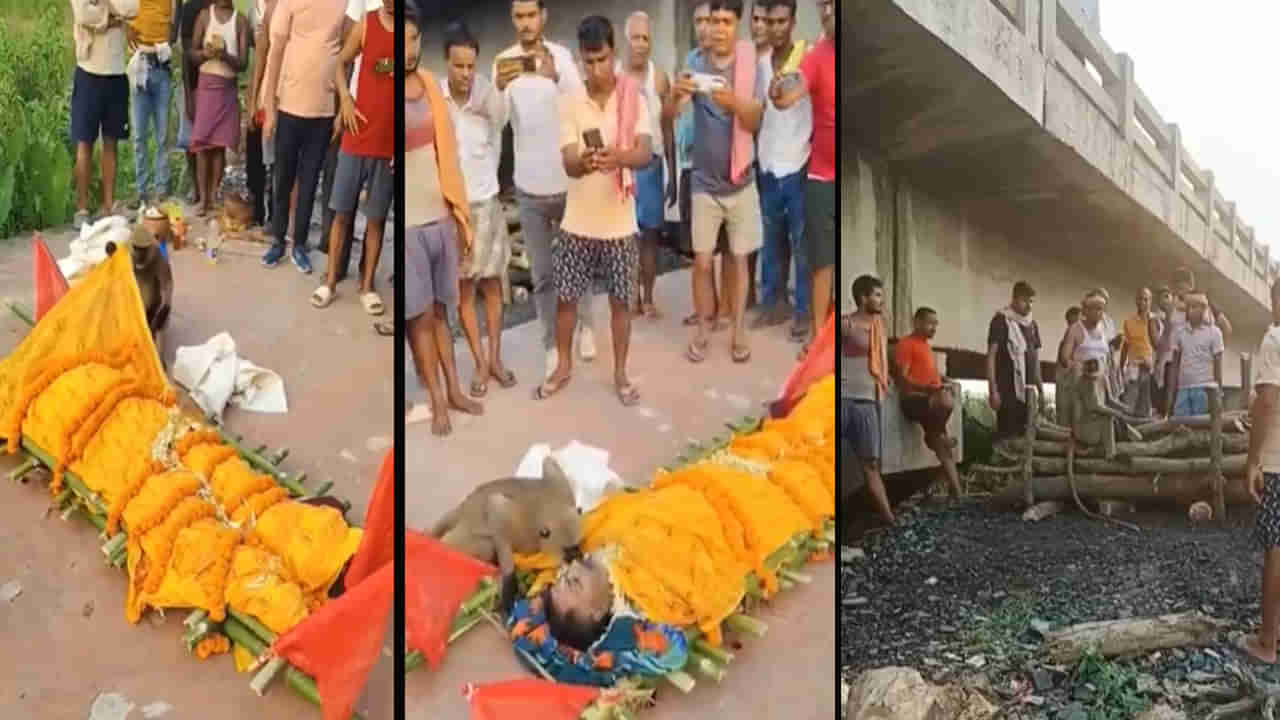 Viral Video: ఆకలి తీర్చిన వ్యక్తిని మరచిపోని వానరం.. స్మశానానికి వెళ్లి నుదిటి మీద ముద్దు పెట్టి మరీ తుది మృతదేహానికి తుది వీడ్కోలు..