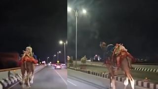 Viral News: 8 ఏళ్ల బాలుడికి ఎంతకూ తగ్గని కంటి నొప్పి.. పరుగున ఆస్పత్రికి తీసుకెళ్లగా..