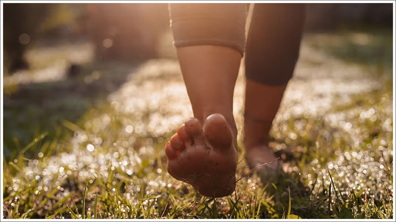 ప్రతిరోజూ గడ్డిపై చెప్పులు లేకుండా నడవడం వల్ల రక్త ప్రసరణ మెరుగుపడుతుంది. ఫలితంగా గుండె ఆరోగ్యం బాగుంటుంది. ఇది కాకుండా, వివిధ అవయవాలు కూడా చాలా చురుకుగా ఉంటాయి. రోజువారీ గడ్డి మీద నడవడం సహజంగా పాదాలకు మసాజ్ అవుతుంది. ఫలితంగా అరికాళ్ల నొప్పులు చాలా వరకు తగ్గుతాయి. అంతేకాకుండా లెగ్ లిగమెంట్స్, కండరాలు బలపడతాయి.