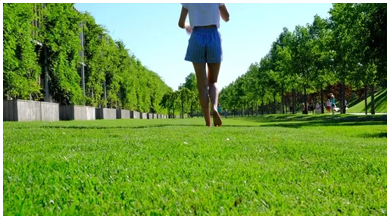 ఈ రోజుల్లో నిద్రలేమి సమస్య సర్వసాధారణమైపోయింది. యువకుల నుంచి వృద్ధుల వరకు కూడా ఈ సమస్యకు గురవుతున్నారు. ప్రతిరోజూ గడ్డిపై క్రమం తప్పకుండా నడవడం వల్ల ఈ సమస్య చాలా వరకు తగ్గుతుంది. రాత్రి నిద్ర బాగా పడుతుంది.ఉదయాన్నే గడ్డి మీద చెప్పులు లేకుండా నడవడం మంచి మానసిక స్థితి మెరుగు పడుతుంది. గడ్డిపై చెప్పులు లేకుండా నడవడం వల్ల మీరు ప్రకృతికి చాలా దగ్గరగా ఉన్న అనుభూతిని కలుగుతుంది. ఇది ఒత్తిడిని తగ్గించడానికి, మానసిక స్థితిని మెరుగుపరుస్తుంది. మధుమేహం ఉన్నవారికి మంచిదని నిపుణులు చెబుతున్నారు. ఈ రోజుల్లో నగరంలో గడ్డితో కప్పబడిన పొలాలు ఉండటం చాలా కష్టం. అయితే, వీలైతే, ఇంటికి కొంచెం దూరంలో ఉన్నా గడ్డి మీద నడిచే అవకాశాన్ని కోల్పోకండి. అది రాకపోతే సన్నటి బూట్లు వేసుకుని మైదానంలో నడవడం అలవాటు చేసుకోండి.