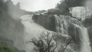 Blueberries: ఇది పండు కాదు.. పోషకాలకు పవర్ హౌస్..! రోజూ గుప్పెడు తింటే వారంలో మ్యాజిక్‌ చూస్తారు..