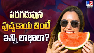 Ayurvedic herb: ఔషధాల గని.. అతిమధురంతో 40 రకాల వ్యాధులు మాయం