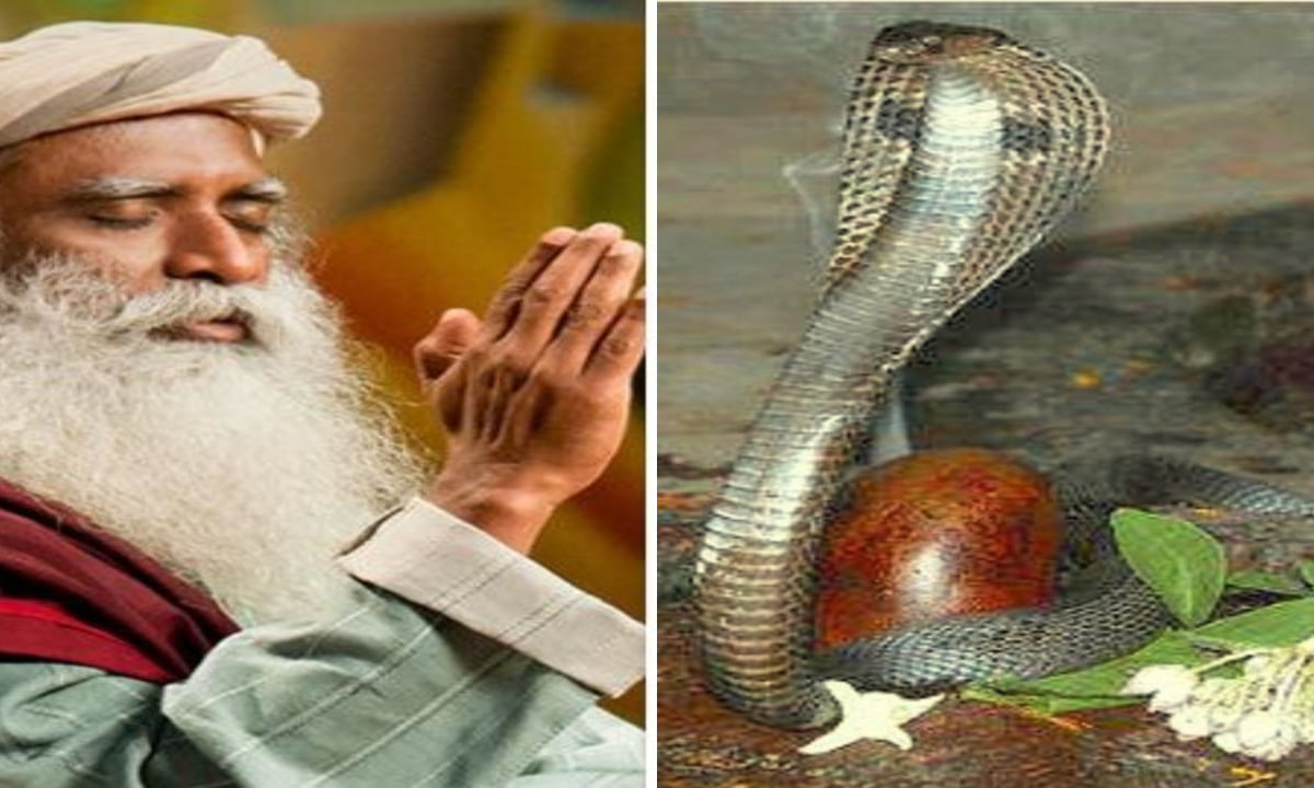 Sadhguru Wisdom: పాములు శివలింగాన్ని చుట్టుకుని ఉంటాయెందుకు.. సద్గురు చెప్పిన ఆధ్యాత్మిక రహస్యం!