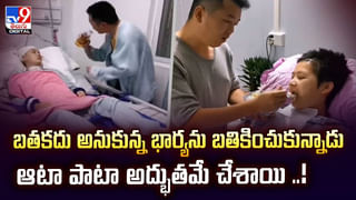 పాము పుట్టకు సమీపంలో ఫోన్ పెట్టి నాగినీ ట్యూన్ ప్లే చేశారు.. కాసేపటికి