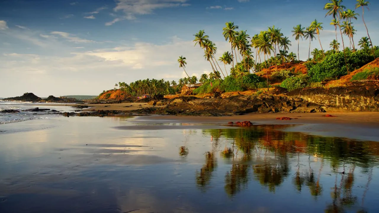 World Ocean Day 2025