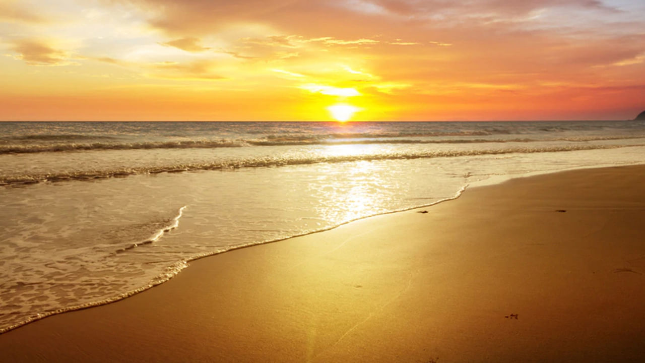 World Ocean Day 2025