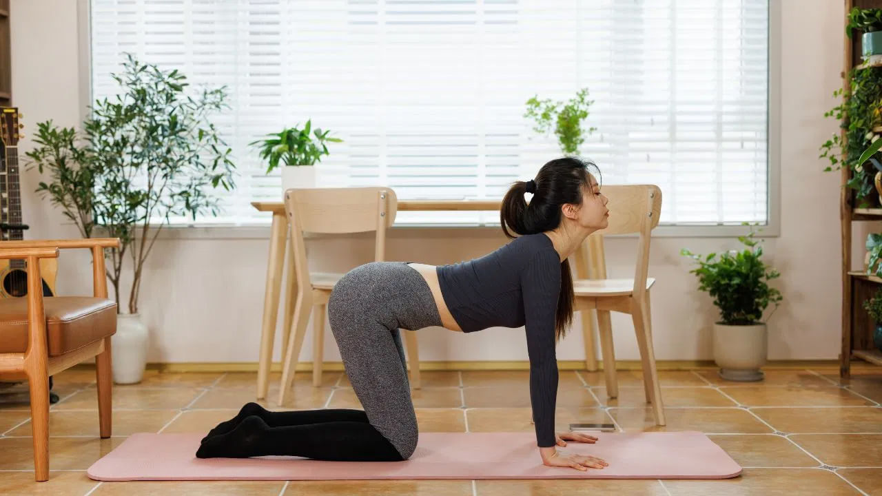 
మార్జారి ఆసనం లేదా పిల్లి ఆవు భంగిమ
ఒత్తిడిని తగ్గించడానికి పిల్లి-ఆవు భంగిమ చాలా ప్రయోజనకరంగా ఉంటుంది. దీని కోసం మీరు నేలపై మోకరిల్లి, ఆపై మీ చేతులను మీ ముందు నేలపై ఉంచాలి. తర్వాత మీ వీపును క్రిందికి వంచి, మీ తలను పైకి తీసుకువచ్చి దీర్ఘంగా శ్వాస తీసుకోవాలి. ఈ ఆసనంలో మీరు ఆవులా కూర్చోవాలి. హెల్త్‌లైన్ ప్రకారం ఈ ఆసనం ఒత్తిడిని తగ్గించడంలో సహాయపడుతుంది.
 